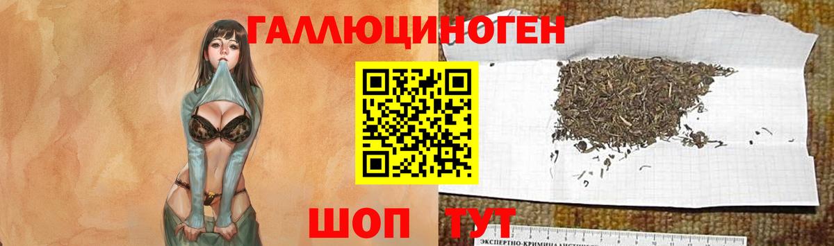 Галлюциногенные грибы прущие грибы  Вход с VPN  Рыбинск 
